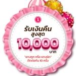 candy888